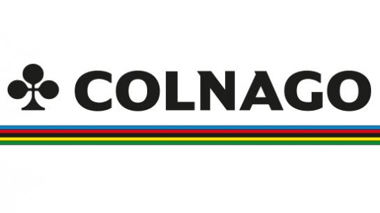 revendeur colnago